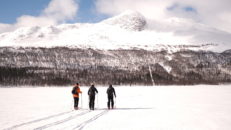 Vårtur till Kittelfjäll: heliski, topptur och lift