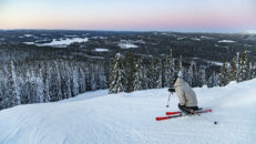 Säfsen: En lättillgänglig familjeidyll i södra Dalarna