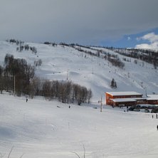 Åkare: Foto: Åkare: Foto: