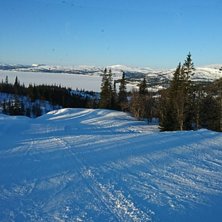 Åkare: Foto: Åkare: Foto: