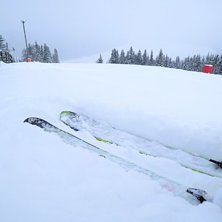 Åkare: Foto: Åkare: Foto: