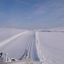 Åkare: Foto: Åkare: Foto: