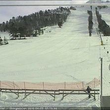 Åkare: Foto: Åkare: Foto: