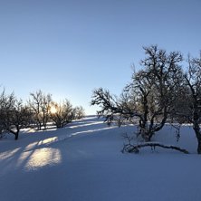 Åkare: Foto: Åkare: Foto: