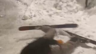 Street crash! Street crash!